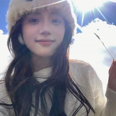 野狗们